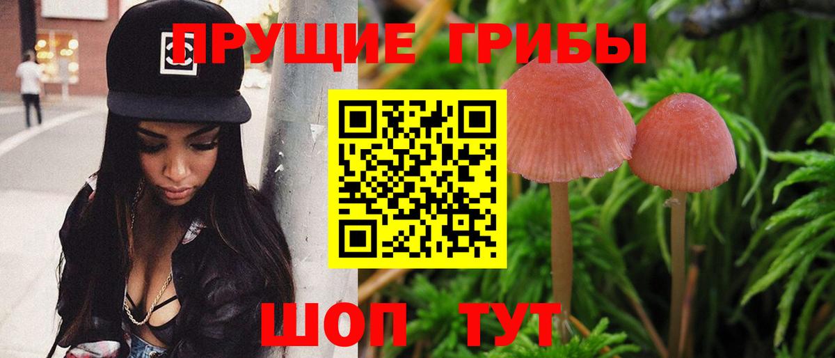 купить наркотики цена  Галлюциногенные грибы Magic Shrooms  Вход с VPN  Галлюциногенные грибы GOLDEN TEACHER  Майкоп 